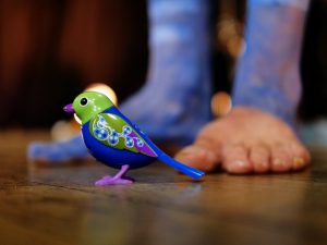 17/10/2020 - 17 octobre- SPECTACLE - Attention, chut d'oiseau !