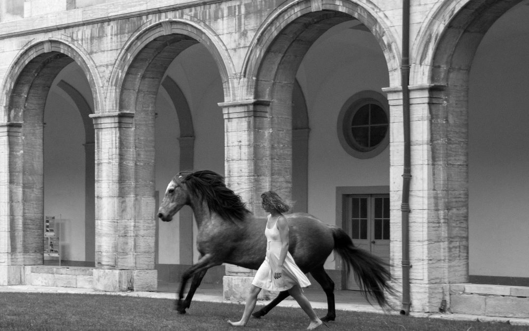 08/08/2020 – 8 août – SPECTACLE ÉQUESTRE – Aurora, Des chants en l’honneur des chevaux