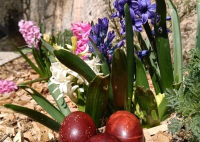 Animation vacances de printemps