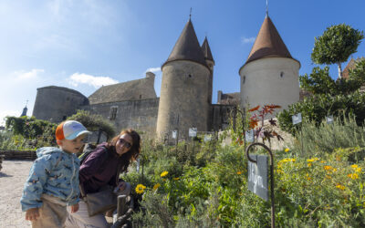 samedi 6 et dimanche 7 juin 2026 Rendez-vous aux jardins
