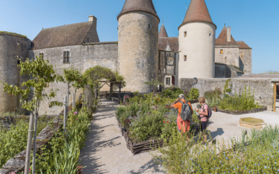 Entrée gratuite le 1er dimanche du mois